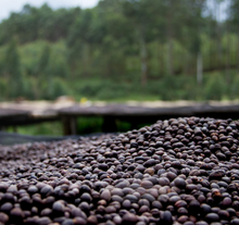 Load image into Gallery viewer, Burundi Businde Traditional Honey