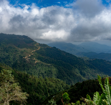 Load image into Gallery viewer, Mexico Union San Pedro