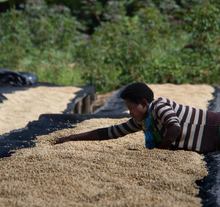 Load image into Gallery viewer, Rwanda Gisheke