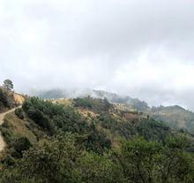 Load image into Gallery viewer, Mexico Union San Pedro