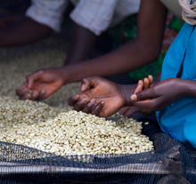 Load image into Gallery viewer, Burundi Businde Traditional Honey