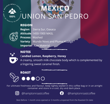 Load image into Gallery viewer, Mexico Union San Pedro