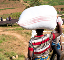 Load image into Gallery viewer, Burundi Kigeri Washed
