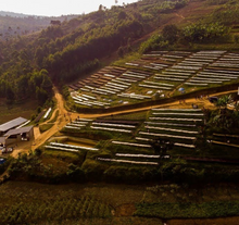 Load image into Gallery viewer, Burundi Kigeri Washed
