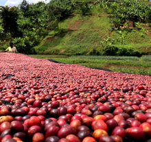 Load image into Gallery viewer, Burundi Kigeri Washed
