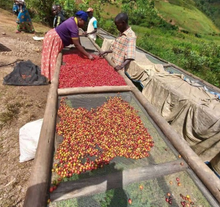 Load image into Gallery viewer, Burundi Kigeri Washed
