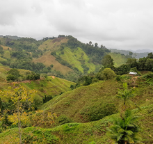 Load image into Gallery viewer, Colombia Sierra Nevada
