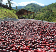 Load image into Gallery viewer, Rwanda Shyira

