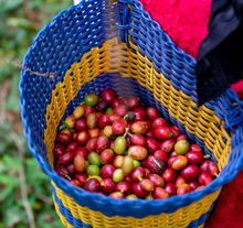 Load image into Gallery viewer, Mexico Cafe El Zapoteco **Limited Stock Remaining**
