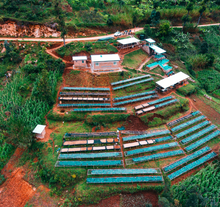 Load image into Gallery viewer, Rwanda Shyira
