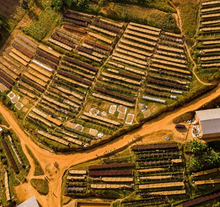 Load image into Gallery viewer, Burundi Kigeri Washed
