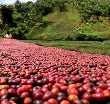 Load image into Gallery viewer, Burundi Kigeri Washed
