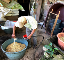 Load image into Gallery viewer, Mexico Cafe El Zapoteco **Limited Stock Remaining**

